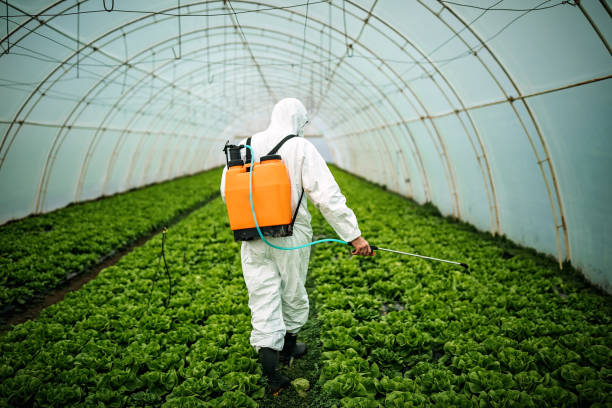 Best Pest Control Treatment  in Netcong, NJ