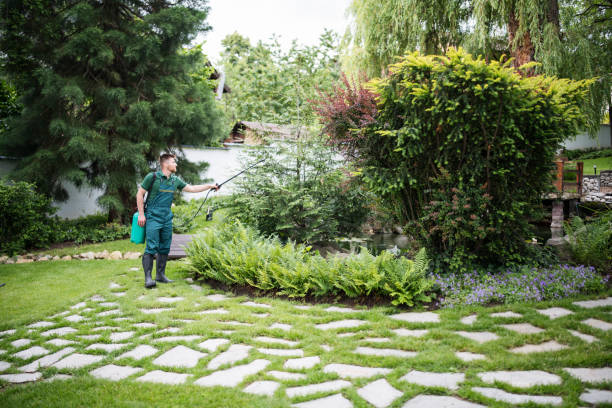 Best Wasp Removal Services  in Netcong, NJ